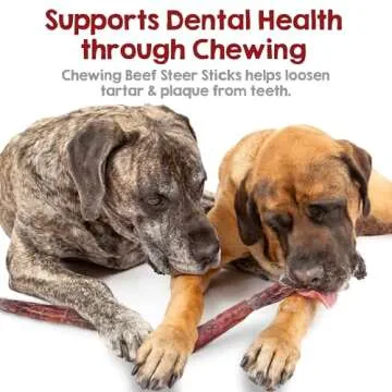 Riley's Steer Bully Sticks for Large to XL Dogs - Odor Free Bully Sticks for Large Dogs - Single Ingredient Dog Treat - Gluten-Free, 100% Beef Pizzle Sticks for Dogs - 12", 5ct