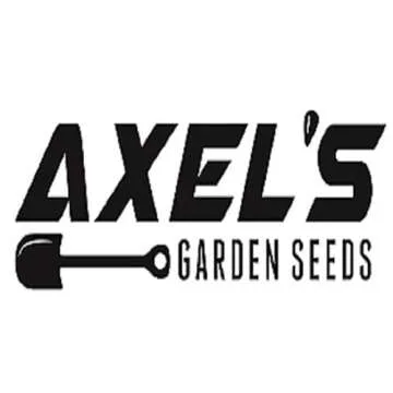 Radish Seeds for Planting Non-GMO White Icicle Radishes