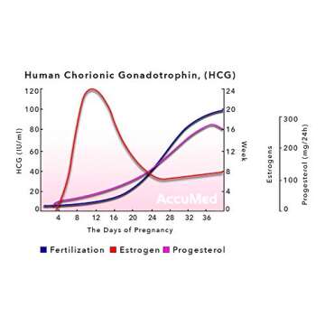 AccuMed Pregnancy (HCG) Test Strips Kit, Clear and Accurate Results, 99% Accurate, 50 Count