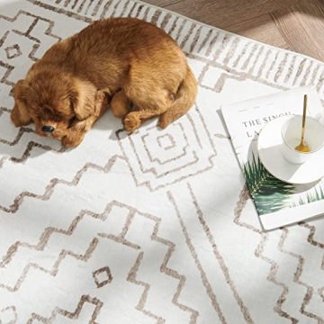 JINCHAN 3x5 Area Rug for Home - Soft, Non-Slip & Washable