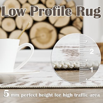 JINCHAN 3x5 Area Rug for Home - Soft, Non-Slip & Washable