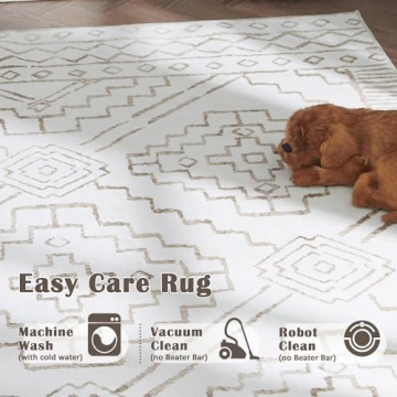 JINCHAN 3x5 Area Rug for Home - Soft, Non-Slip & Washable