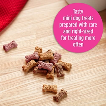 Milk-Bone Flavor Snacks Mini Dog Biscuits for Health