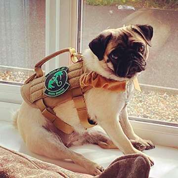 OneTigris Tactical Dog Harness for Small Dogs - Comfortable & Durable