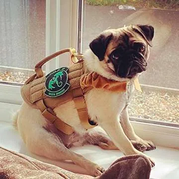 OneTigris Tactical Dog Harness for Small Dogs - Comfortable & Durable
