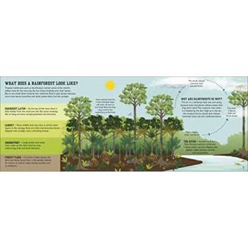 The Rainforest Book