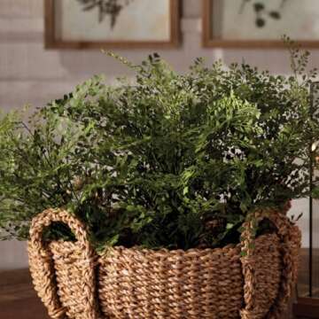 NAPA Home & Garden Conservatory Maidenhair Fern Drop-in 13"