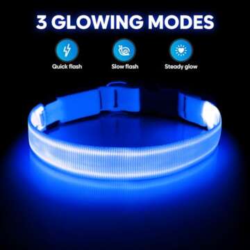 Illumifun LED Dog Collar, Adjustable Dog Light Up Collars, USB Rechargeable Safety Collar Light Glow in The Dark (Blue, Large)