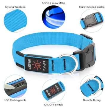 Illumifun LED Dog Collar, Adjustable Dog Light Up Collars, USB Rechargeable Safety Collar Light Glow in The Dark (Blue, Large)