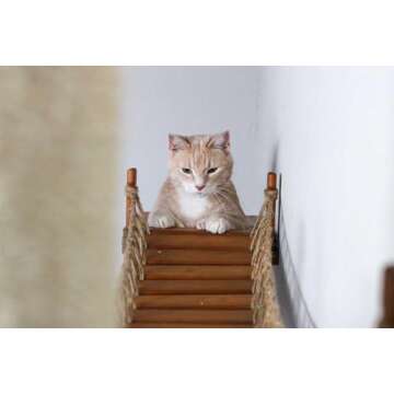Catastrophic Creations The Expedition Cat Condo — Wall Mounted Cat Furniture w/50” Cat Bridge, Cat Hammock, Cat Scratcher Pole & Planter Shelf for Cat-Safe Plants
