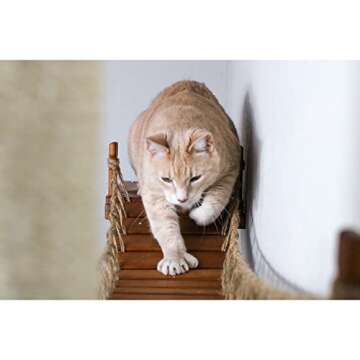 Catastrophic Creations The Expedition Cat Condo — Wall Mounted Cat Furniture w/50” Cat Bridge, Cat Hammock, Cat Scratcher Pole & Planter Shelf for Cat-Safe Plants