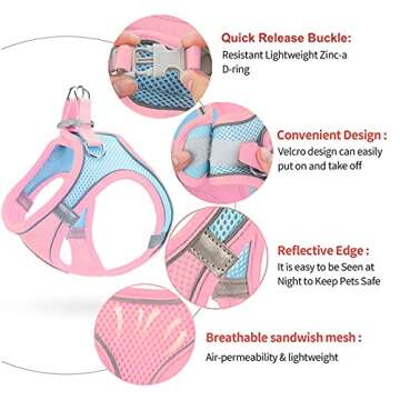 LMOBXEVL Small Dog Harness,Puppy Harness and Leash Set for Walking Escape Proof,Comfortable Air Mesh...