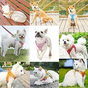 LMOBXEVL Small Dog Harness,Puppy Harness and Leash Set for Walking Escape Proof,Comfortable Air Mesh Dog Vest Harness with Reflective Strip, Step-in Outdoor Pet Vest for Dog Breeds