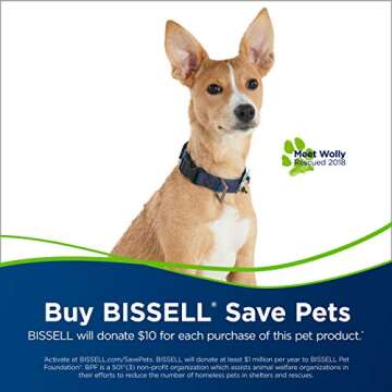 Bissell Cleanview Rewind Pet Deluxe Upright Vacuum Cleaner, 24899, Green