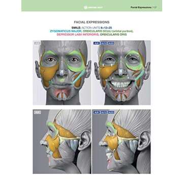 Anatomy of Facial Expression