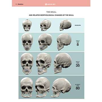 Anatomy of Facial Expression