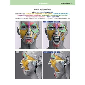 Anatomy of Facial Expression