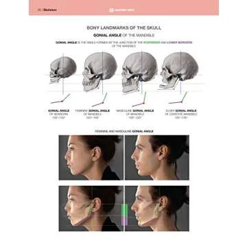 Anatomy of Facial Expression