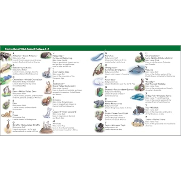 Wild Animal Babies: Exciting Alphabet Book for Kids