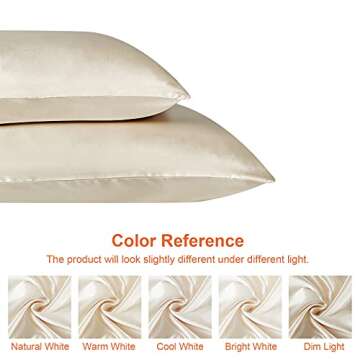 EHEYCIGA Satin Pillowcase Queen Set of 2, Soft Pillowcases for Hair and Skin Similar to Silk, Beige Pillow Cases 2 Pack with Envelope Closure, 20X30 Inches