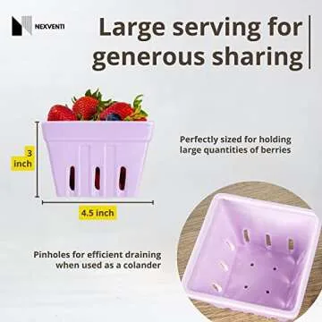 NEXVENTI Ceramic Berry Basket Bowl (Set of 4) | Strawberry Fruit Containers for Fridge | Square Fruit Bowl Farmers Market Harvest Basket | Berry Colander Glass Keeper Stoneware Kitchen Décor (Combi 1)