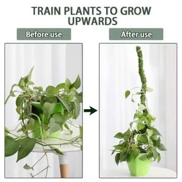 Moss Pole for Monstera Plants - 63 Inch Handmade Support Stick