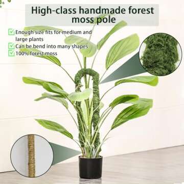 Moss Pole for Monstera Plants - 63 Inch Handmade Support Stick