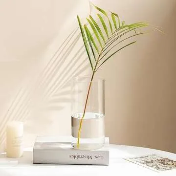 Devilfire Clear Glass Cylinder Vases - Pack of 3