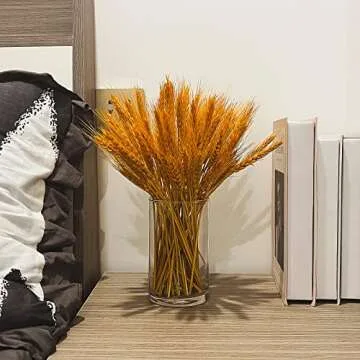 Devilfire Clear Glass Cylinder Vases - Pack of 3