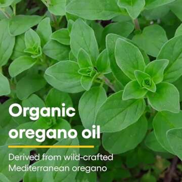 Natural Factors Certified Organic Oil of Oregano, Herbal Supplement for Immune Support, Vegan, Non-GMO, 3.25 Fl Oz
