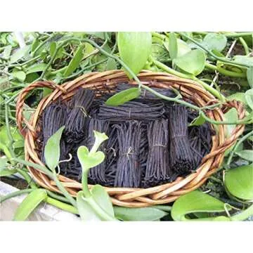 Bakto Flavors Ground Madagascar Vanilla Beans - Flavorful Baking Essential