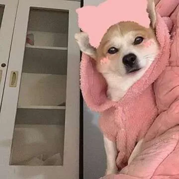 Flutnel Windproof Dog Hoodie Pink Dog Sweaters for Dog Pajamas Winter Warm Dog Coat Cold Weather Dog Jacket Puppy Small Medium Dog Clothes