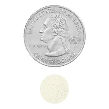 Spring Valley Probiotic Multi-Enzyme Digestive Formula Tablets, 200 ct - A Comprehensive Blend of Probiotics and Digestive Enzymes to Support Digestive Health. (Pack of 1) Includes a Gbz Ref Magnet