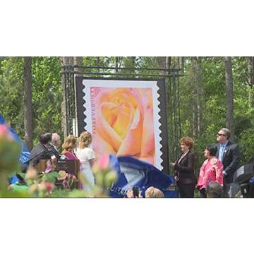 My Postage Stamps Business Envelope Matching Peace Rose Postage Stamps (5 Booklet - 100 Stamps)