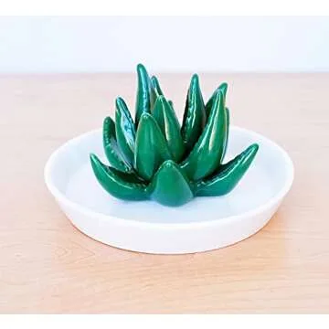 PUDDING CABIN Succulent Ring Holder Dish Cactus Gift for Women Birthday Gift for Mom Friend Bridesmaid Wedding Christmas Valentines Housewarming Gift, Decorative Cacti Decor for Home Gifts