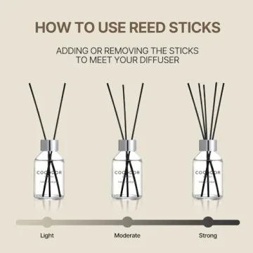 Classic Reed Diffuser in Dark Vanilla & Sandalwood