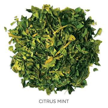 Tea Forte Organic Herbal Tea, Citrus Mint - 35-50 Cups in Recyclable Tin