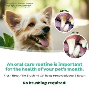 TropiClean Fresh Breath Dog Toothpaste for Teeth Cleaning, Breath Freshener, Easy to Use Plaque & Tartar Remover Gel, No Toothbrush Needed, 4oz.