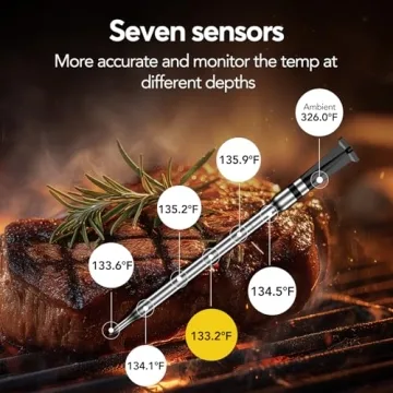 BBQOVN WiFi Wireless Meat Thermometer for Precision Cooking
