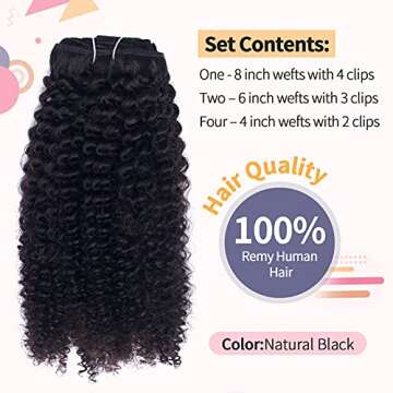 Vanalia Afro Kinky Curly Clip in Hair Extensions for Black Women, 9A Brazilian Remy Human Hair 3C 4A...
