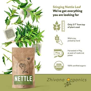 Stinging Nettle Tea Organic (100 TeaBags) – Dried Nettles Tea - Te De Ortiga Verde Organica - Great for Joints, Blood Circulation, Allergy, Body Cleanse