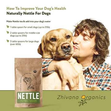 Stinging Nettle Tea Organic (100 TeaBags) – Dried Nettles Tea - Te De Ortiga Verde Organica - Great for Joints, Blood Circulation, Allergy, Body Cleanse