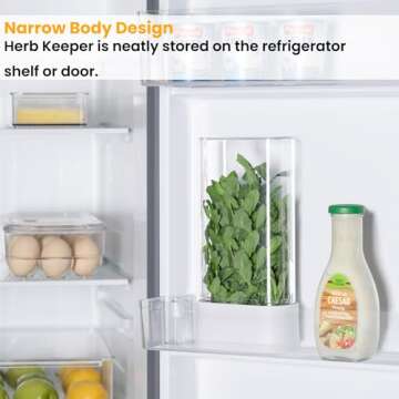 vacane Herb Keeper for Refrigerator, Fresh Herb Saver Herb Storage Containers, Cilantro Container for Fridge Asparagus Container, Dishwasher Safe-2 Pack