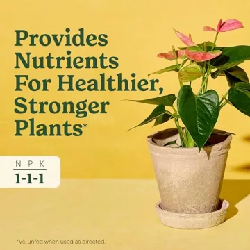 Miracle-Gro Indoor Plant Food for Healthier Houseplants