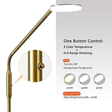 O'Bright Moon Adjustable LED Floor Lamp for Reading