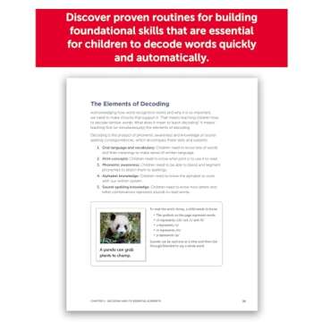 Reading Above the Fray: Reliable, Research-Based Routines for Developing Decoding Skills