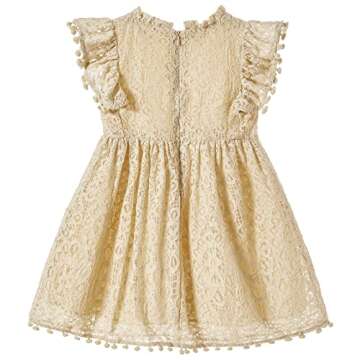 Niyage Toddler Girls Elegant Lace Pom Pom Flutter Sleeve Party Princess Dress