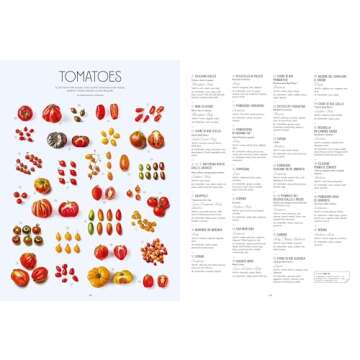 Let's Eat Italy!: Everything You Want to Know About Your Favorite Cuisine (Let's Eat Series, 2)