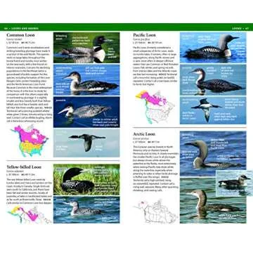 National Wildlife Federation Field Guide to Birds of North America