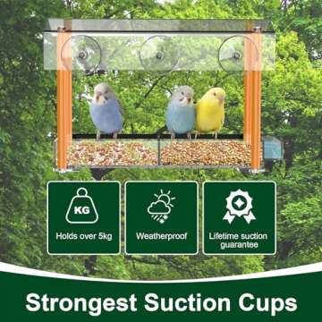 Unique HHXRISE Bird Feeder with Suction Cups for Bird Watching
